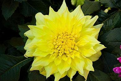 任天堂高管谈马里奥配音更换：希望大家享受游戏本身